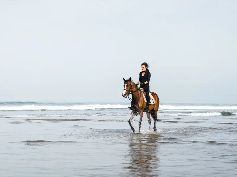 Zu sehen ist ein Reiter mit seinem Pferd, der am Strand der Norderney entlang reitet.